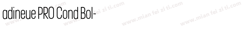 adineue PRO Cond Bol字体转换